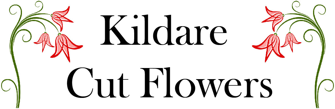 KildareCutFlowers